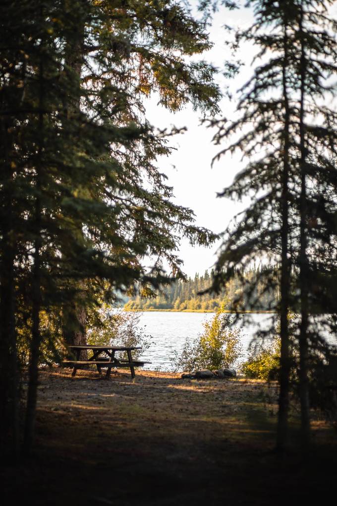 Through the spruce at Eagle's Nest Resort, Anahim Lake.
