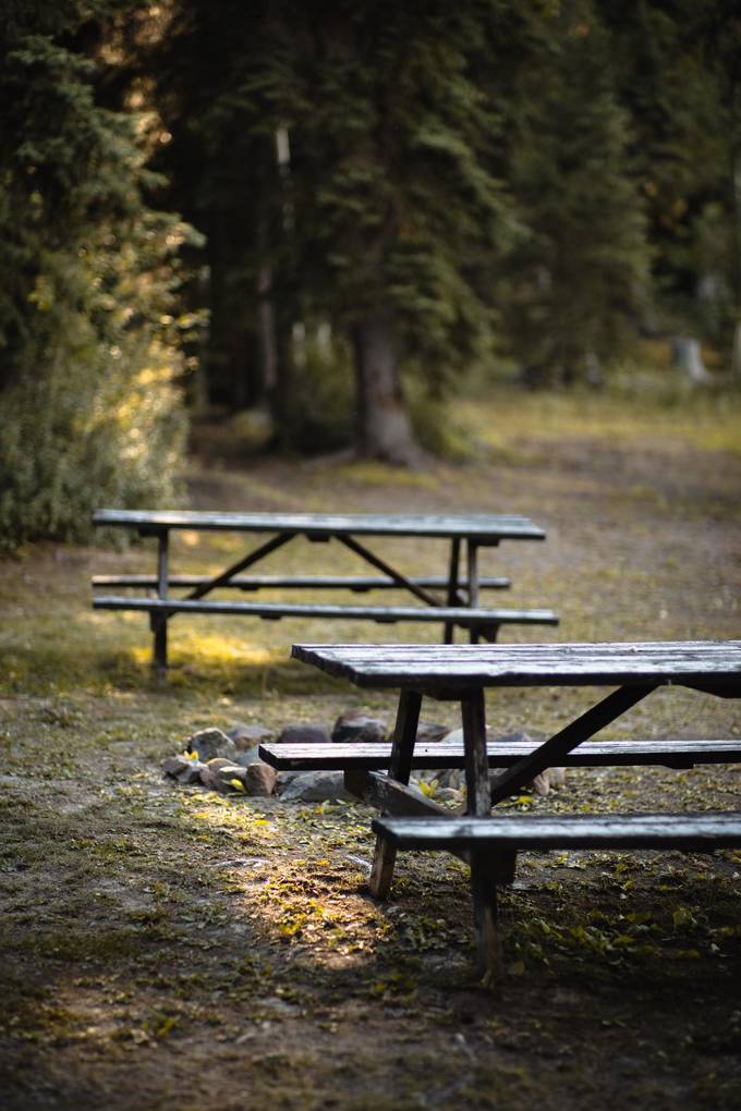 Between the cabins at Eagle's Nest Resort, Anahim Lake.