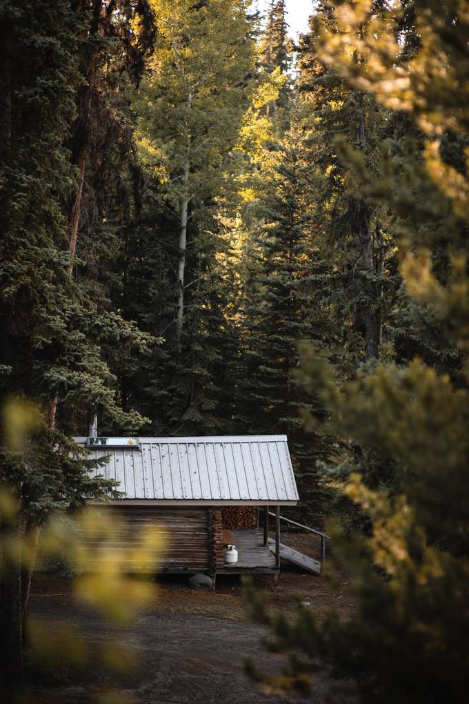 Heritage in the spruce at Eagle's Nest Resort, Anahim Lake.