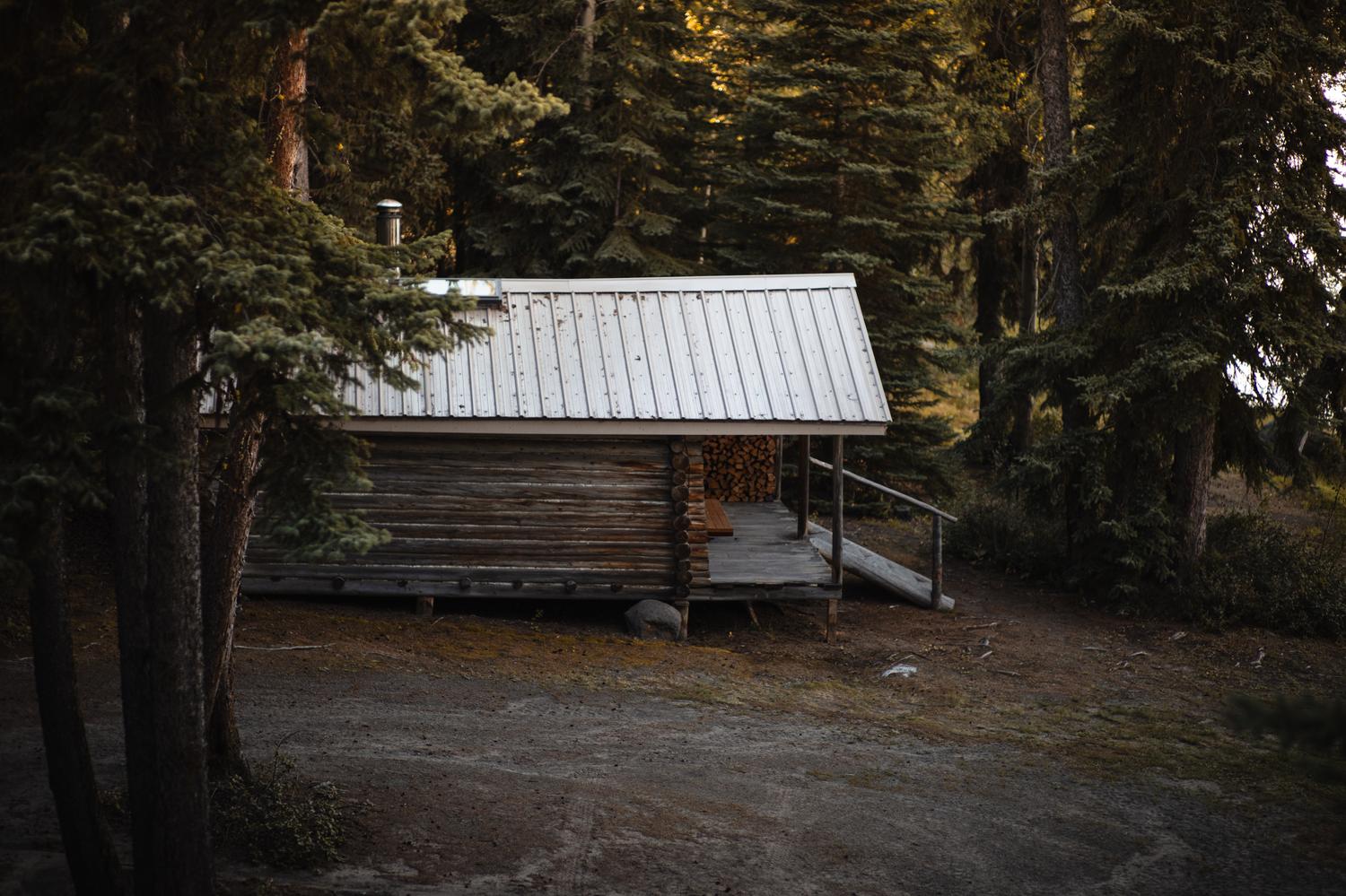A heritage log cabin on log posts among the spruce, with a metal roof, a plank ramp up to the porch and firewood stacked under the eave.